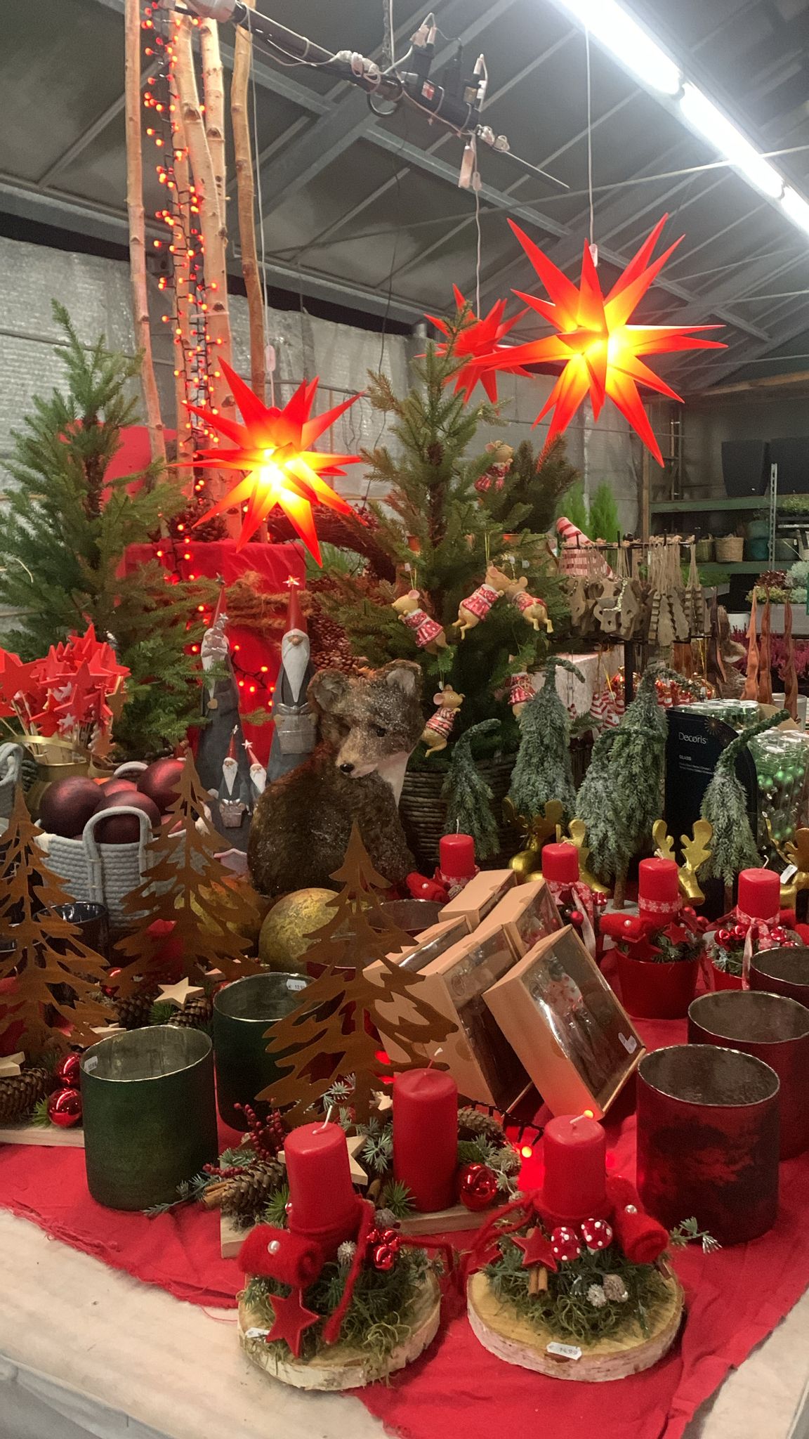 PHOTO 2024 11 08 18 11 54