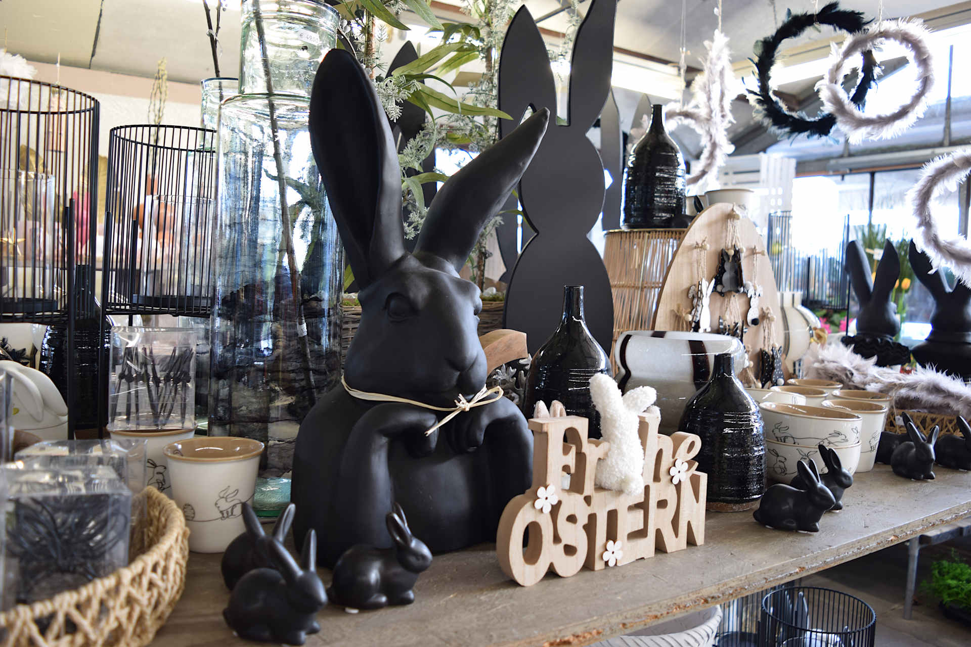 09 DiePflanzenwelt Februar 2024