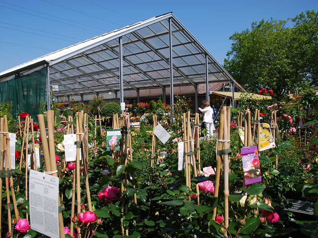 Die Pflanzenwelt - Dirk Langbehn Gartencenter Pflanzen • Pflanzenwelt • Gartencenter Bonn Beuel